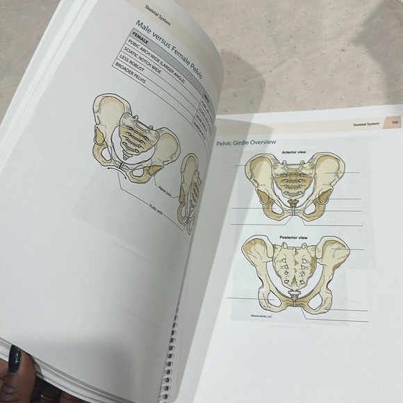 New condition A&P lab 1 book - Picture 4 of 5